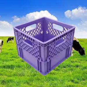 우유박스 보라 플라스틱 밀크 우유상자 캠핑 테이블