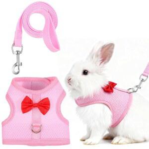조절 가능한 부드러운 하네스와 신축성 있는 목줄 세트, 토끼 하네스 및 가벼운 탈출 방지 워킹 기어, 페럿 고양이 강아지 작은 애완동물을 위한 귀여운 조끼 끈 (핑크)