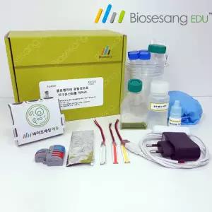 [티처스]클로렐라의 광합성으로 지구온난화를 막아라 (5인)