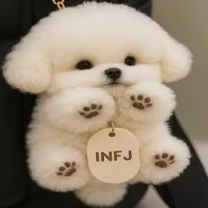 귀여운 키링 infj 비숑 강아지 인형 초극세사 선물용