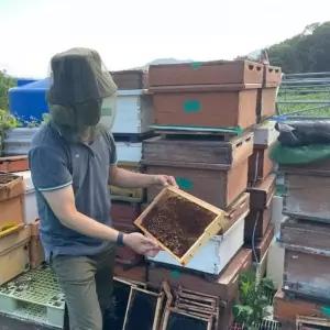 [셀러에이드]모기장 헬멧 얼굴 방충모자 양봉 벌모자