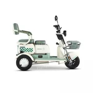 스쿠터 삼륜차 노인 오토바이 전동 전동스쿠터 전기 바이크 삼륜 세발 어르신