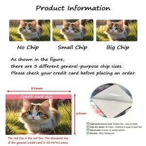 PTCG 신용카드 스킨 스티커 안티 디가우징 애니메이션 리자몽 비자 JCB 마스터카드 및 기타 IC