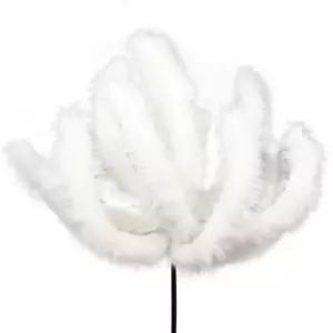 할로윈 졸업식 여우 꼬리 코스프레 코스튬 롤