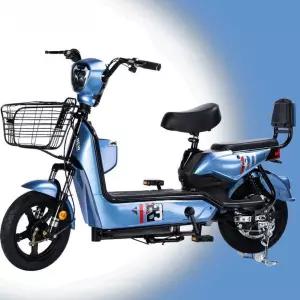 전기스쿠터 오토바이 전기자전거 배달용 부릉이