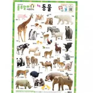 학습용벽보 어린이 사운드 학습벽보 룰루랄라 동물 520mmx765mm