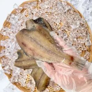 가자미 참가자미 납세미 구이용 반건조 가재미 냉동 손질 두절 가제미 10미 20미