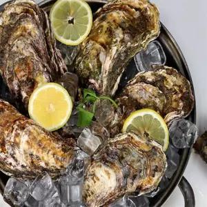 유쎌몰 삼배체굴 1KG 2-4미 통영석화 석화굴