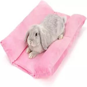 Eorbow 16인치 x 12인치 부드러운 토끼 침대 두꺼운 오목 면 라운지 베개가 있는 리버서블 커들 쿠션