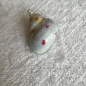 네리타 천연 소라 껍질 표본 수집 사는 게 장식용