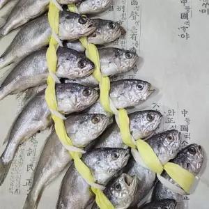 [담미로] 영광 굴비 선물포장 20미 1.5kg 내외 참조기 법성포굴비