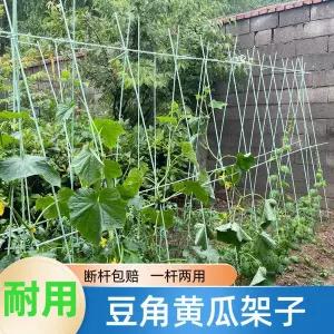 넝쿨 지지대 덩쿨 식물 지주대 화초 화분 원예  덩굴성 강낭콩과 오이 받침대 플라스틱 차광망 고추 모종
