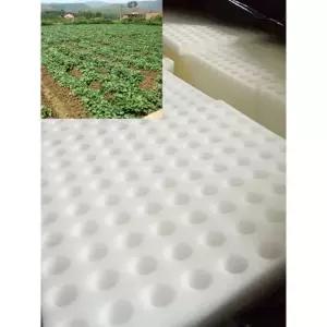 수경 재배 스펀지 스폰지 500장 블랙 씨앗 사각 250x250x20mm 블럭 발아 모종