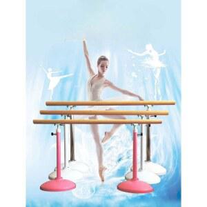 이동식 발레바 테스 학원 무용 이중 운동 교습 1m/높이 유연성 고정형 요가봉 발레봉