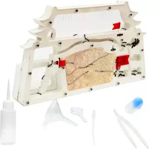 EXBEPE 개미 농장 성 서식지 관찰 도구 키트 벌레 테라리움 하우스 자연 학습 장난감 교육 과학