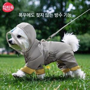 말티즈 우비 레인코트 반려동물 권장 자켓 신발 작은 소형견 중형견 올인원 시선집중 반사