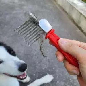 [반려] 반려견 털갈이 엉킴 제거 스테인레스 빗 동물 스텐 브러 애완견 털 고양이 미용 개 반려 정리