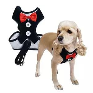 우쭈쭈 하네스 강아지줄 가슴줄 산책줄 몸줄 블랙 소형견하네스