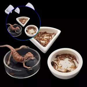 쌍문상회 파충류 도자기 밥그릇 식기 코너형 중형 대형