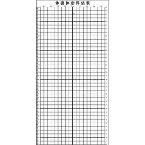 체형 스크린 테스 부착형 체형측정스크린 분석 평가 종이 가로 배경