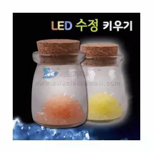 LED 수정 키우기(5인용)