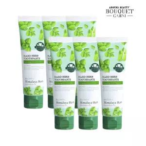히말라야 허브 나드 구취 케어 치약 100g x6개