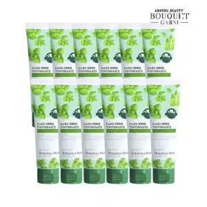 히말라야 허브 나드 구취 케어 치약 100g x12개