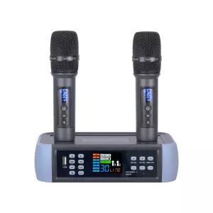 안티 하울링 노래 멀티 채널 DSP 마이크 전문 에코 노래방 광학 입력 인기 판매