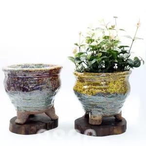 도자기 C 5 감성 국내산 기품있는화분거실 베란다 집화분 예쁜 다육 식물 선물 장식 디자인 꾸미기 정원 인