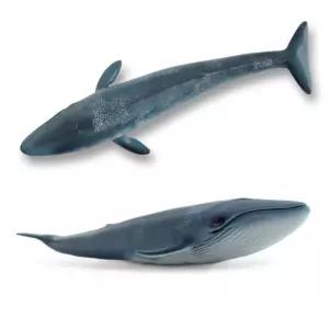 말랑 부드러운재질 흰수염고래 피규어 물고기피규어 조카선물 어린이집교구 가정보육 홈스쿨링