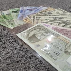 [베스트TOP100]지폐홀더 100장 동전 앨범 보관팩 돈 코인 수집 비닐