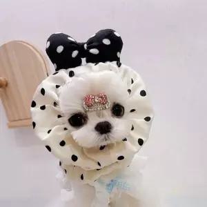 [베스트TOP100]긴털 반려동물 머리밴드 강아지 헤어밴드 머리띠 모자