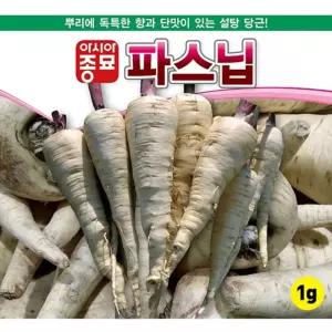 설탕당근 파스닙 씨앗 단맛나는 뿌리 종자