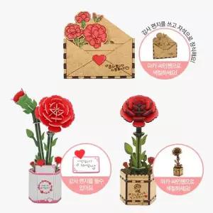 모또 카네이션 3종 만들기 어버이날 스승의날