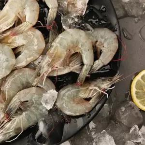 [오초록] 신안 무항생제 급랭 왕 새우 1kg 30미-35미 내외)