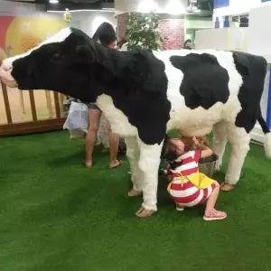 대형 젖소 모형 젖짜기 조각상 체험 야외 미니어처 만들기