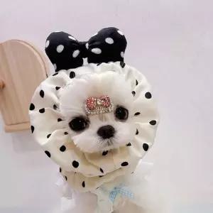 긴털 반려동물 머리밴드 강아지 헤어밴드 머리띠 모자