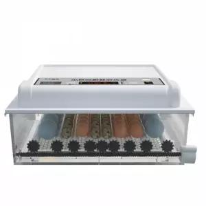 부화기 자동 국산 오리 계란 병아리 닭 거위