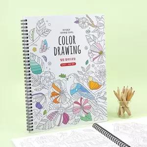 컬러링북 노인 성인 컬러 드로잉 쉬운 버전 색칠 공부