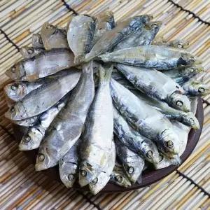 [NS홈쇼핑]etv 국물내기진수 베트남 디포리 1.5kg[35766333]