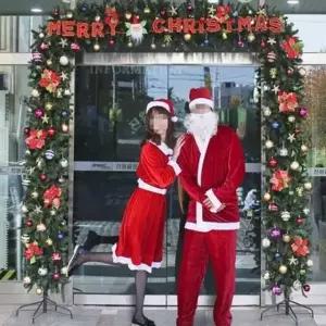 출입구 장식트리 210cm 교회성탄장식 트리꾸미기 크리스마스디스플레이 야외트리 크리스마스포토존