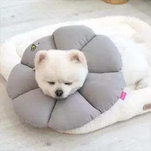 [반려] 패리스독 넥카라 그레이L