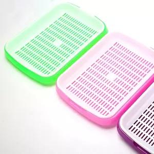 새싹 재배기 실내 키우기 씨앗