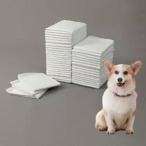 냄새잡는 대나무숯 강아지 배변패드 50매 강아지배변판
