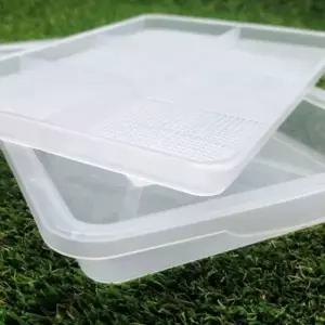 새싹 재배 트레이 투명 새싹키우기 새싹보리키우기