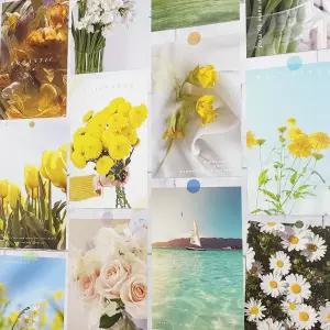 HYS 감성 컬러 엽서 모음 선샤인 드림 감성엽서