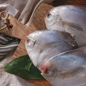 국내산 손질병어 300g 4팩 (팩당 3~4미 내외)