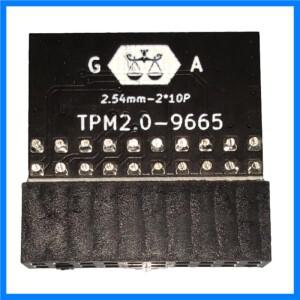 ASUS TPM-L R2.0/Gigabyte GC-TPM2.0용 20핀 보호 모듈 Intel 및 AMD 플랫폼 모듈과 호환 가능 20핀 20-1