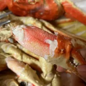 가족외식메뉴 해산물파티 러시아대게시세 1KG 수율좋은 자숙 대게찜 홈파티