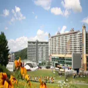 [강원] 웰리힐리파크(강원호텔/횡성호텔/횡성웰리힐리파크)